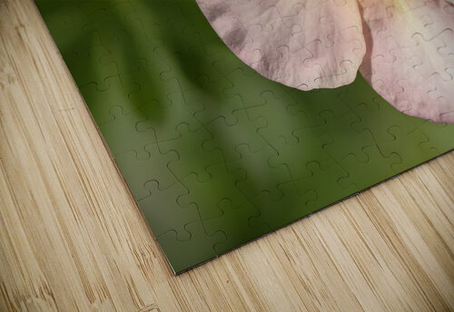 The Wild One Suzanne Bonin puzzle