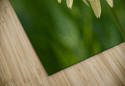 Yellow Echinacea Flower Suzanne Bonin puzzle