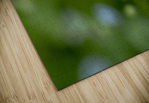 Tiny Bouquet Suzanne Bonin puzzle