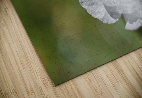 White Poppy Suzanne Bonin puzzle