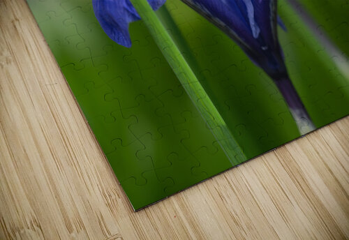 Velvet Blue Suzanne Bonin puzzle