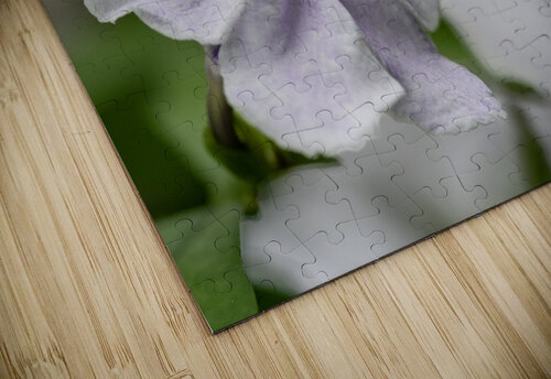 Mauve Melody 1 Suzanne Bonin puzzle