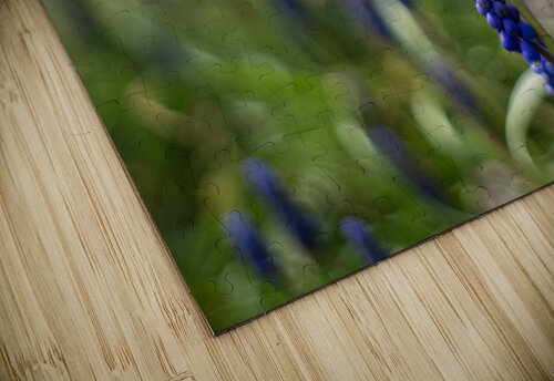 Paradise Perfection Suzanne Bonin puzzle