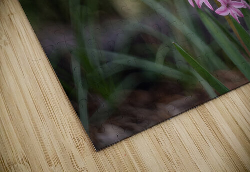 Pink Bliss Suzanne Bonin puzzle