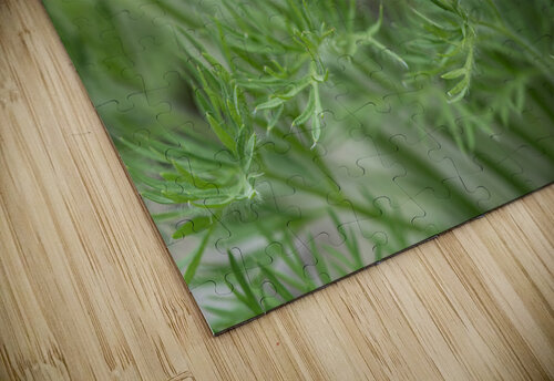 Purple Paradise Suzanne Bonin puzzle