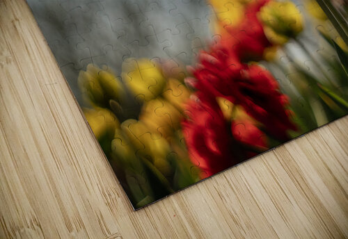 Regal Reverie Suzanne Bonin puzzle