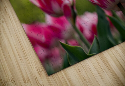  SBP7968 Suzanne Bonin puzzle