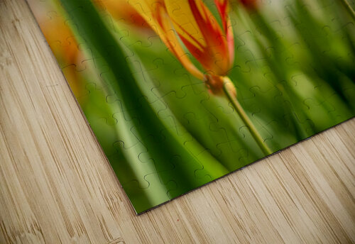  SBP6290 Suzanne Bonin puzzle