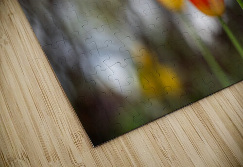 SBP8395 Suzanne Bonin puzzle