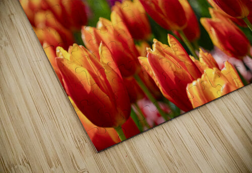 SBP6328 Suzanne Bonin puzzle