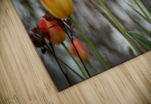 SBP8316 Suzanne Bonin puzzle