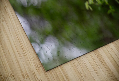 SBP8211 Suzanne Bonin puzzle