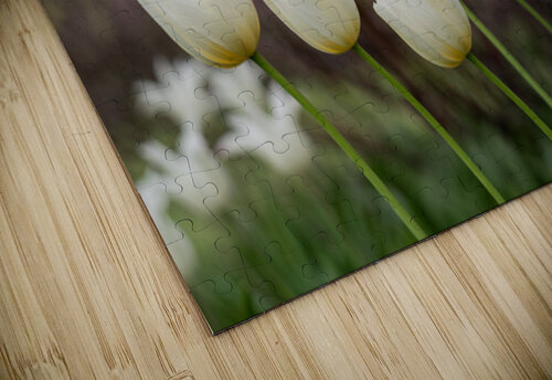 SBP8417 Suzanne Bonin puzzle