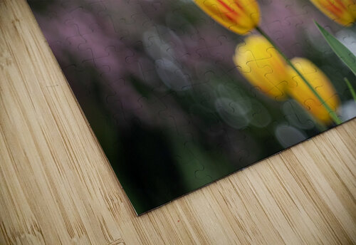 SBP8162 Suzanne Bonin puzzle