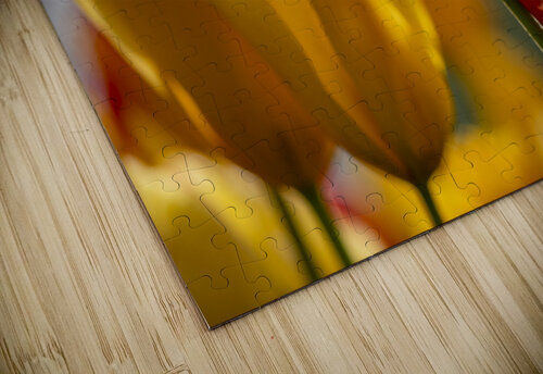 SBP5529 Suzanne Bonin puzzle