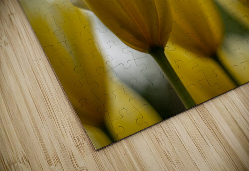 SBP5684 Suzanne Bonin puzzle