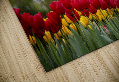 SBP5721 Suzanne Bonin puzzle