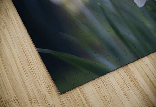 SBP5653 Suzanne Bonin puzzle