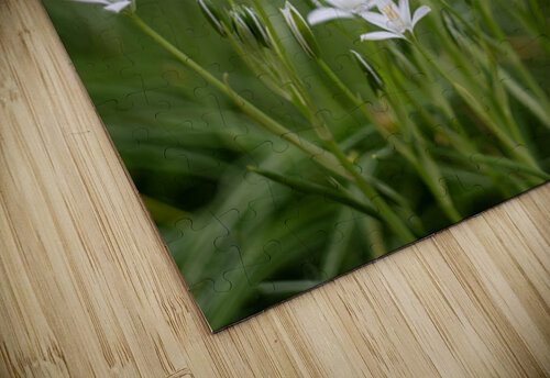 SBP8139 Suzanne Bonin puzzle