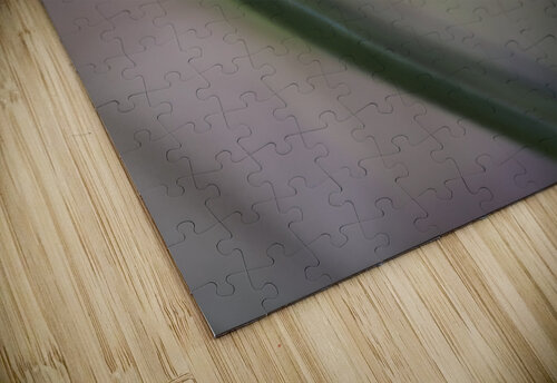 Tiny Blue Umbrella Suzanne Bonin puzzle