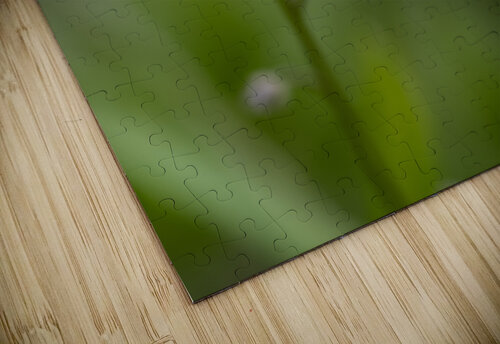 Never Forget Suzanne Bonin puzzle