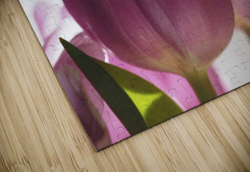 Pink Tulips Suzanne Bonin puzzle