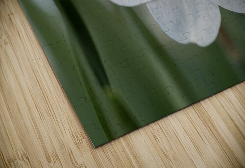 New Beginnings Suzanne Bonin puzzle