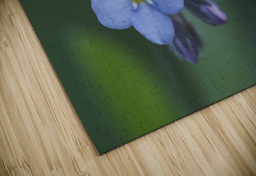 Ladies In Blue Suzanne Bonin puzzle