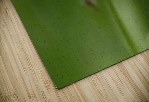 Small World Suzanne Bonin puzzle