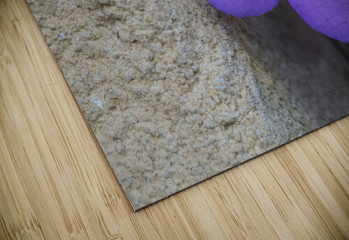 Magic Flower Suzanne Bonin puzzle