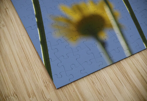 From Below Suzanne Bonin puzzle