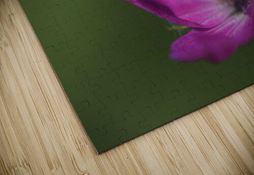 The Heart Of It Suzanne Bonin puzzle