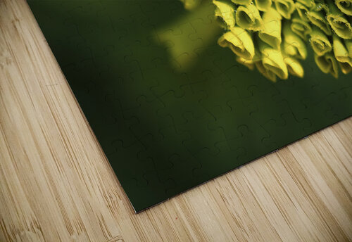 Ringlets Suzanne Bonin puzzle