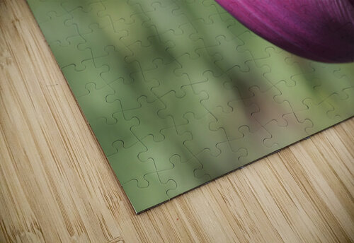 Big Purple Tulip Suzanne Bonin puzzle