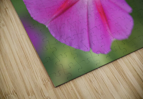 Pink Morning Glory Suzanne Bonin puzzle