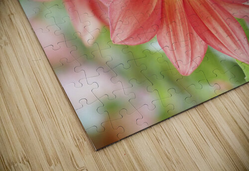Dahlia Pinnata Suzanne Bonin puzzle
