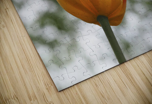 Red and Yellow Tulip Suzanne Bonin puzzle