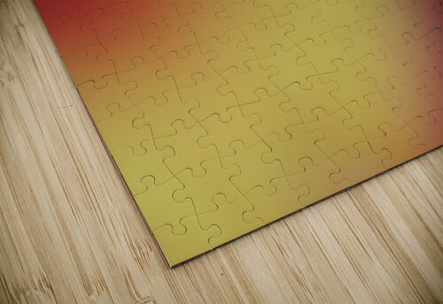 Experiment Suzanne Bonin puzzle