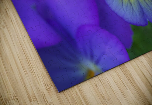 Blueness Suzanne Bonin puzzle