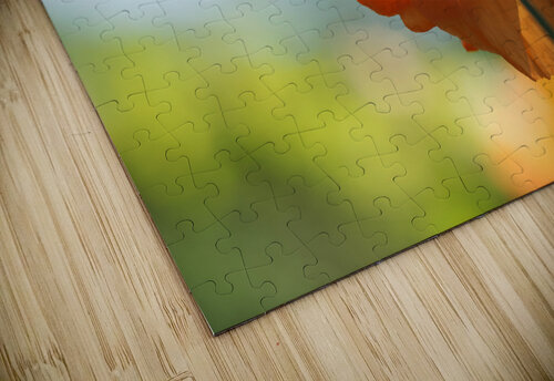 Poppy Burning Suzanne Bonin puzzle