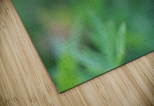 Little Bead Suzanne Bonin puzzle