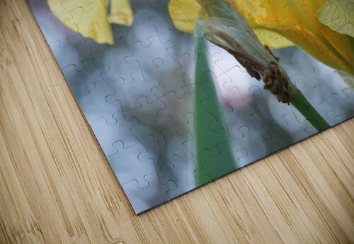 Water Flag Suzanne Bonin puzzle