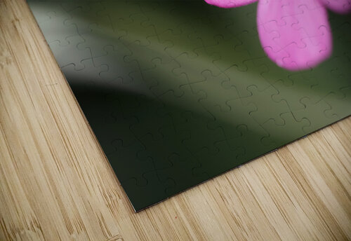 Splash Of Color Suzanne Bonin puzzle