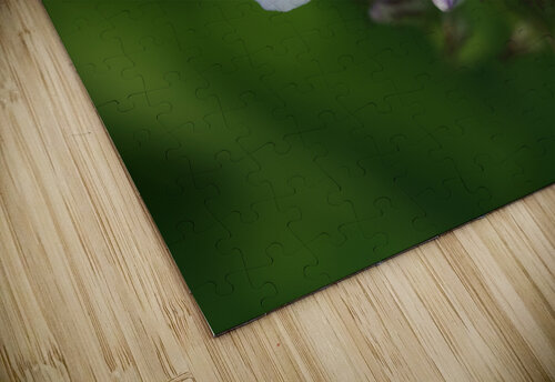 Bright Eyes Suzanne Bonin puzzle