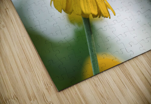 Life Is Strange Suzanne Bonin puzzle