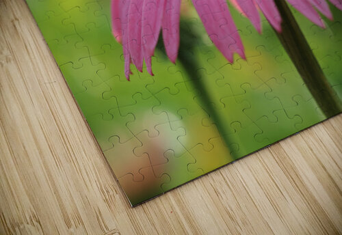 Little Devil Suzanne Bonin puzzle