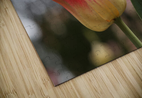 Happy One Suzanne Bonin puzzle