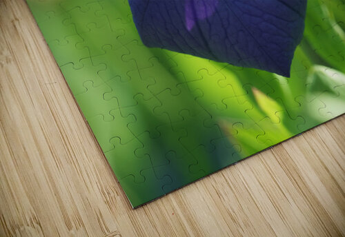 Coin coin Suzanne Bonin puzzle