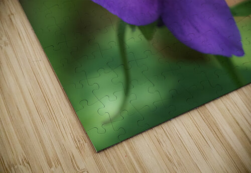 Bluejacket Suzanne Bonin puzzle