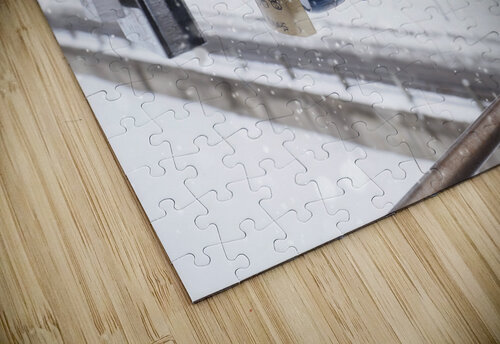 Love Locks Suzanne Bonin puzzle